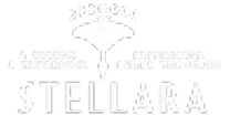 Stellara Logo